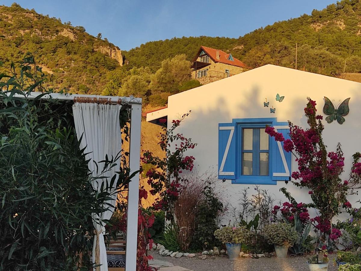 Mavi Kelebek Datca Hotel Екстериор снимка