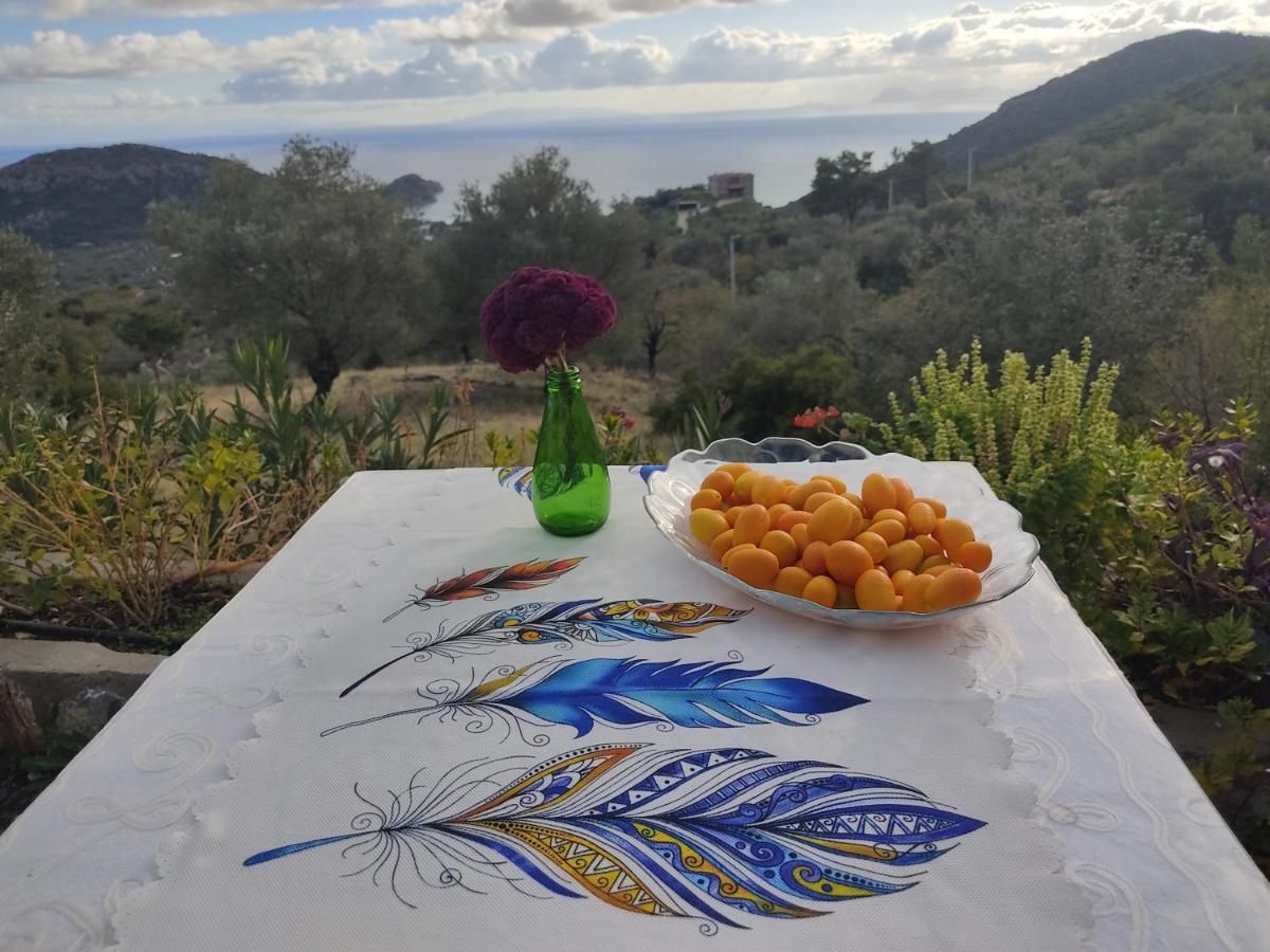Mavi Kelebek Datca Hotel Екстериор снимка