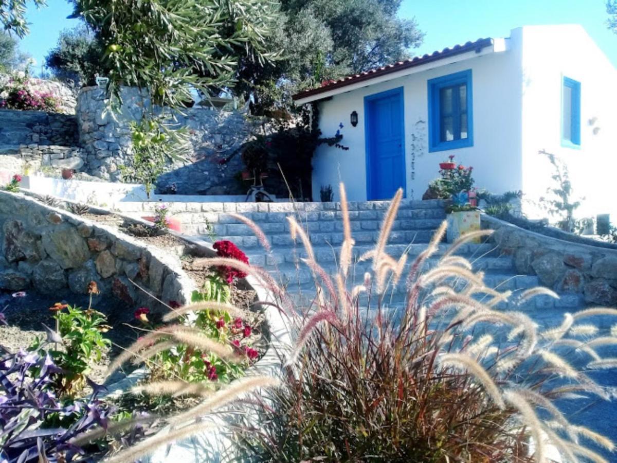 Mavi Kelebek Datca Hotel Екстериор снимка