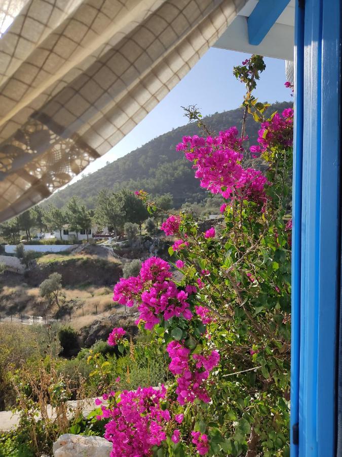Mavi Kelebek Datca Hotel Екстериор снимка